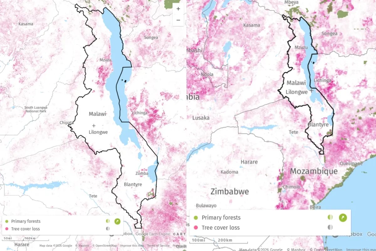 220726_Deforestation in Malawi_ causes and solutions_visual 2