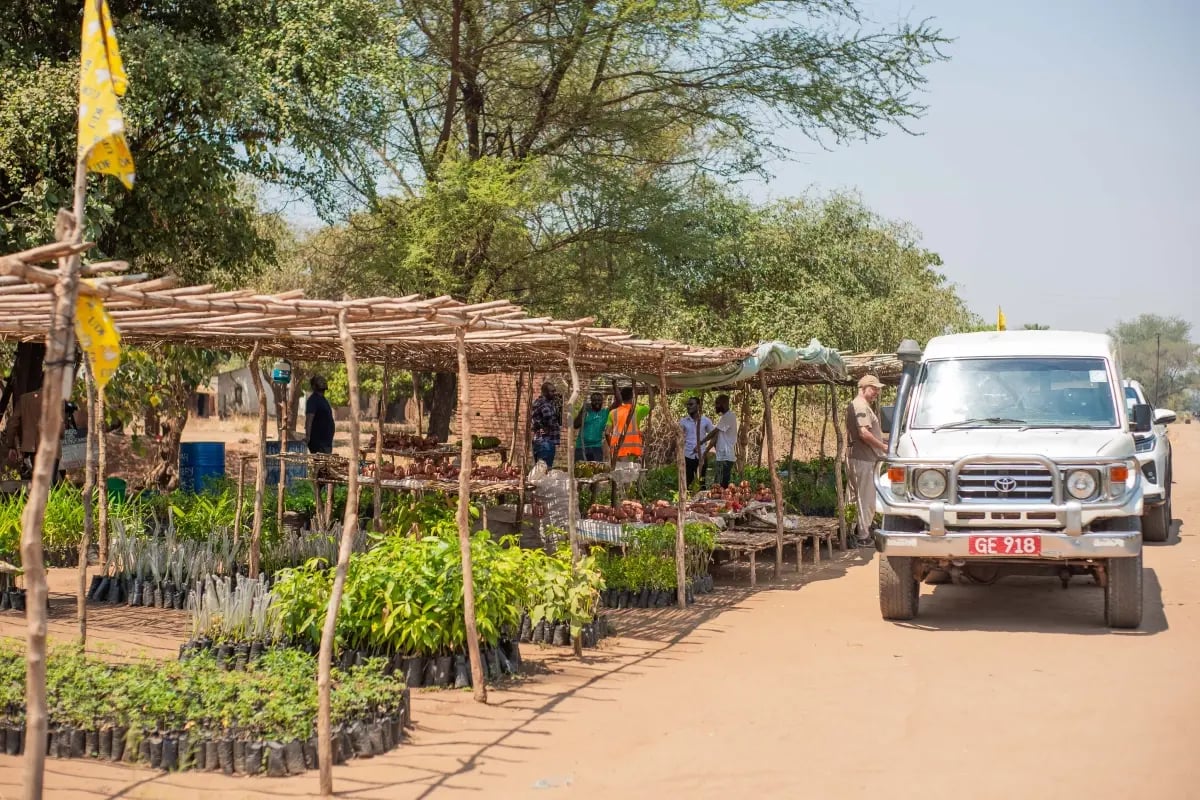220726_Deforestation in Malawi_ causes and solutions_visual 4