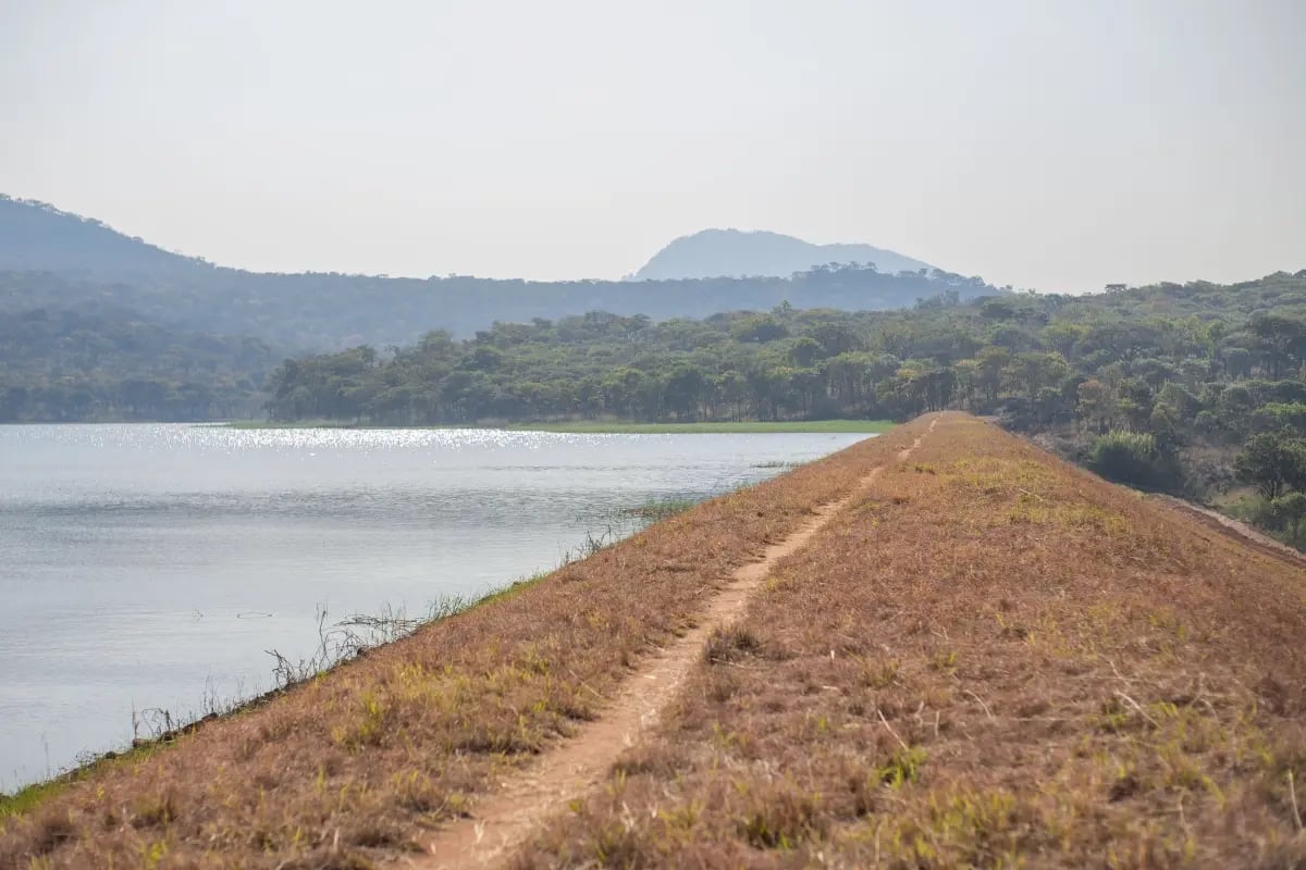 220726_Deforestation in Malawi_ causes and solutions_visual 6