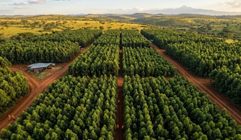 Green Earth concludes 2026 AGM with approval on all resolutions