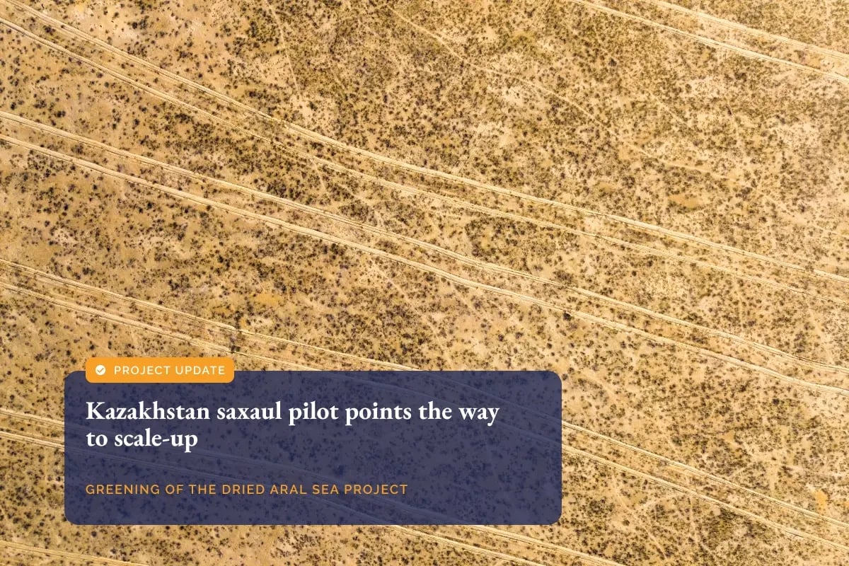 230726_Kazakhstan saxaul pilot points the way to scale-up_visual 1