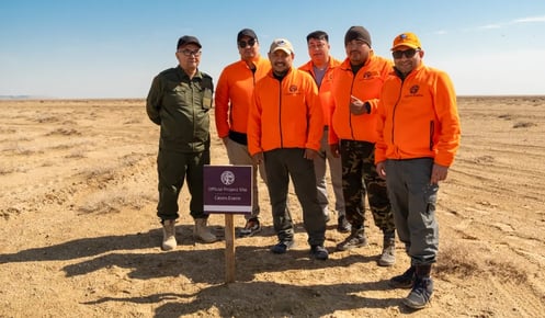Saxaul takes root: The Lake Aral Afforestation Project moves into action