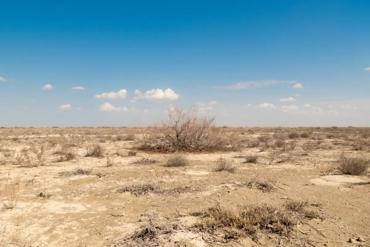 240326_Kazakhstan Stakeholder consultations_visual 2