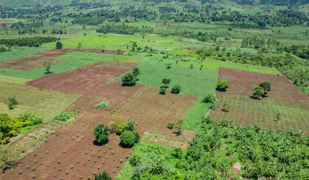 250325_PR - DGB Group receives validation of Bulindi AR project_visual 6
