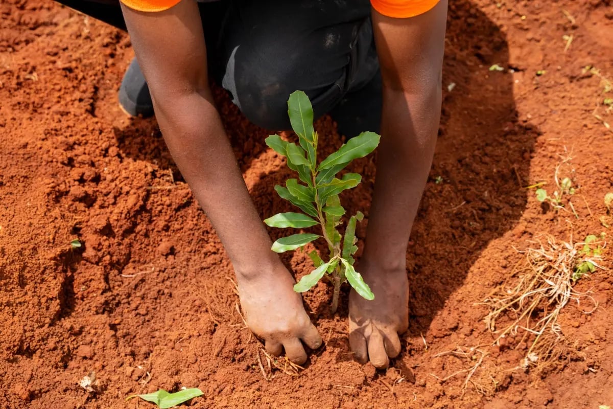 270326_Coca-Cola_visual 10