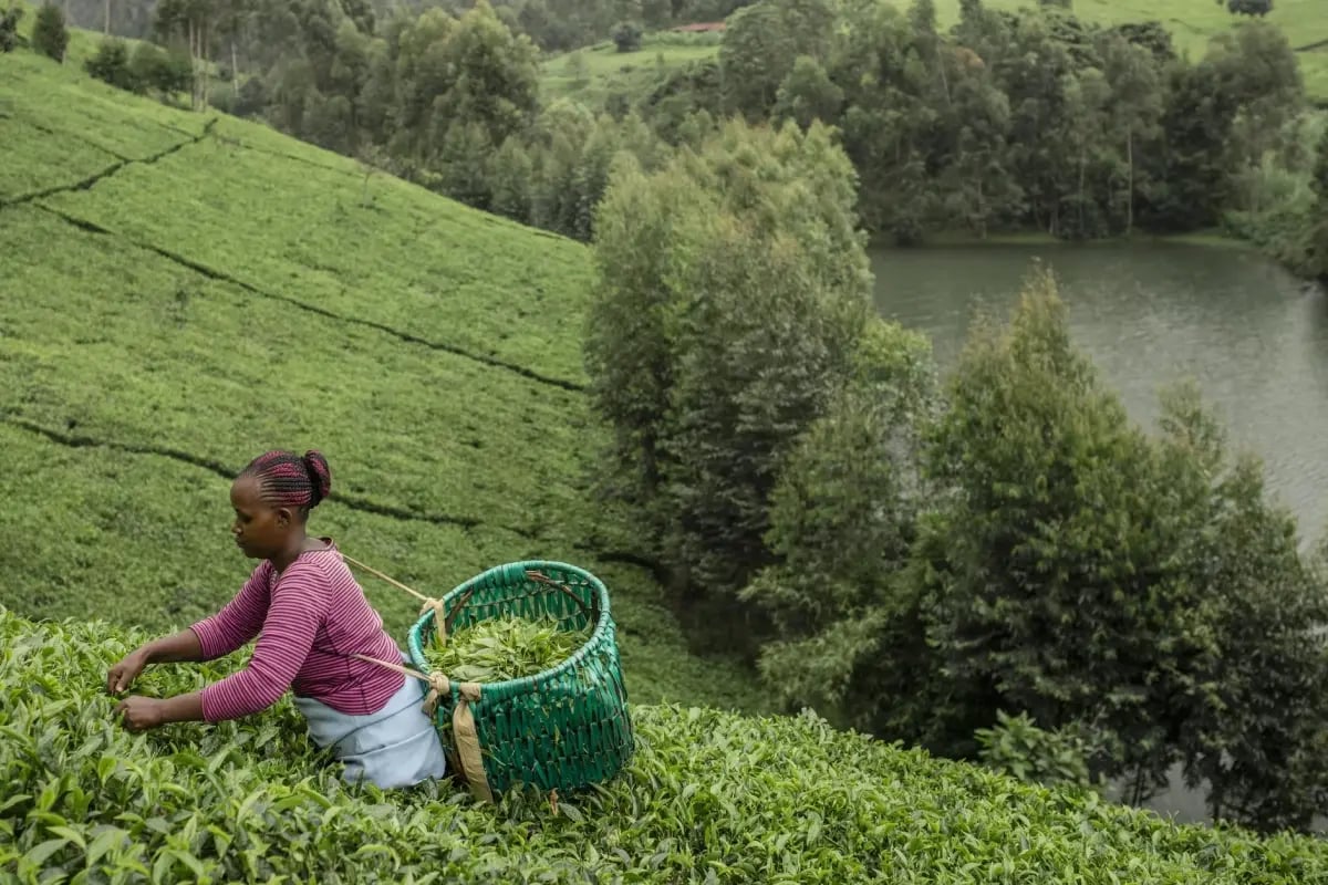 270326_Coca-Cola_visual 5