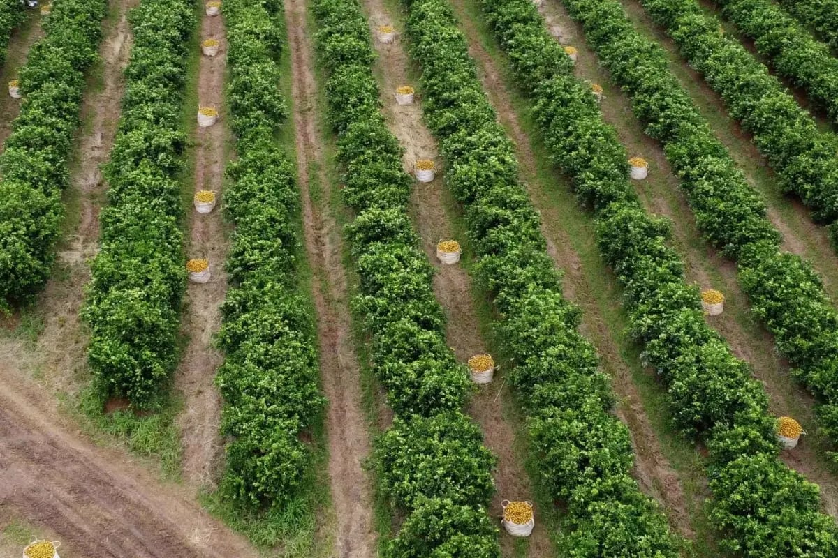 270326_Coca-Cola_visual 6