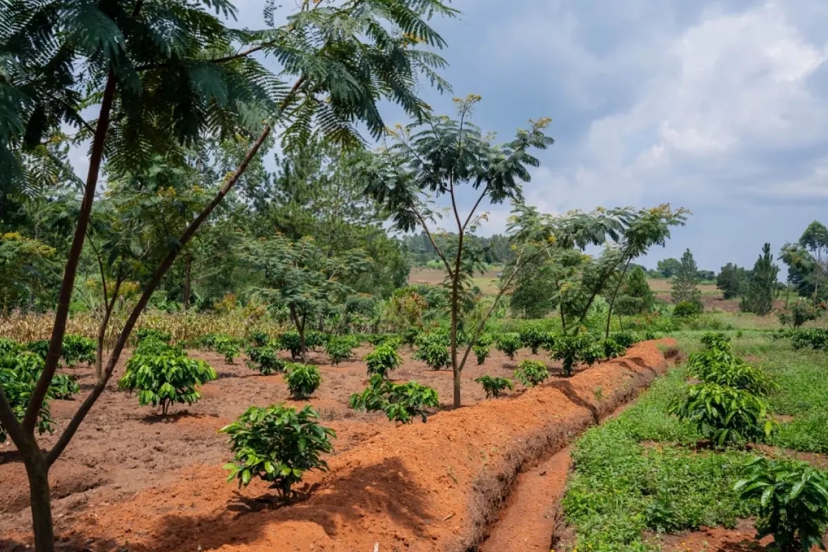 270326_Coca-Cola_visual 7