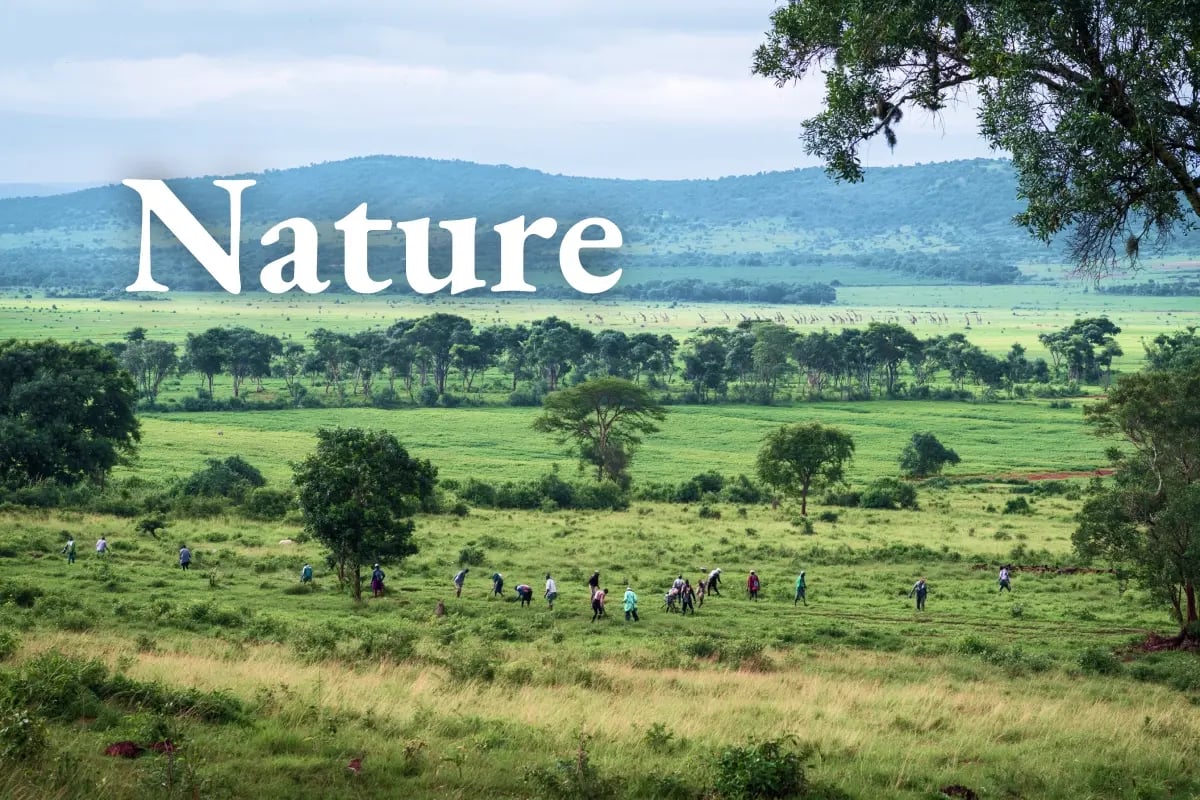 270426_Kenya reframes nature as an economic asset with a new finance initiative_visual 1