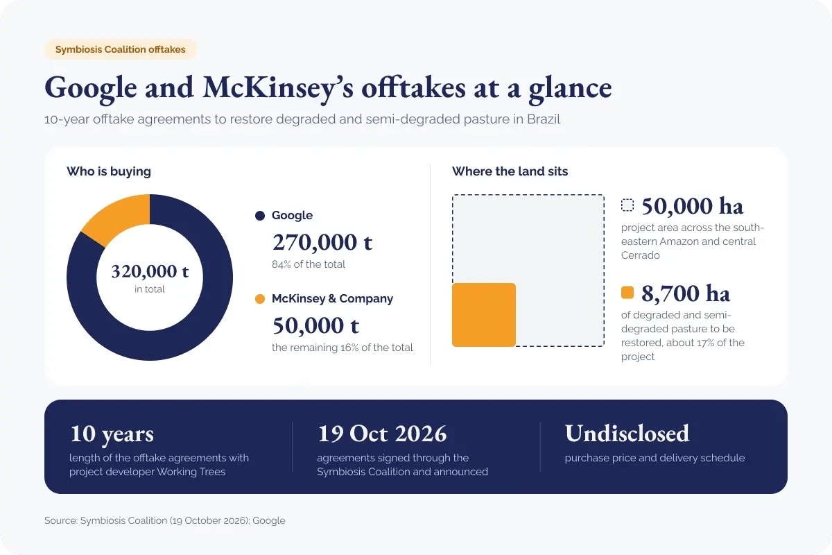 271026_Google and McKinsey buy 320,000 tonnes of Brazil removals_visual 1