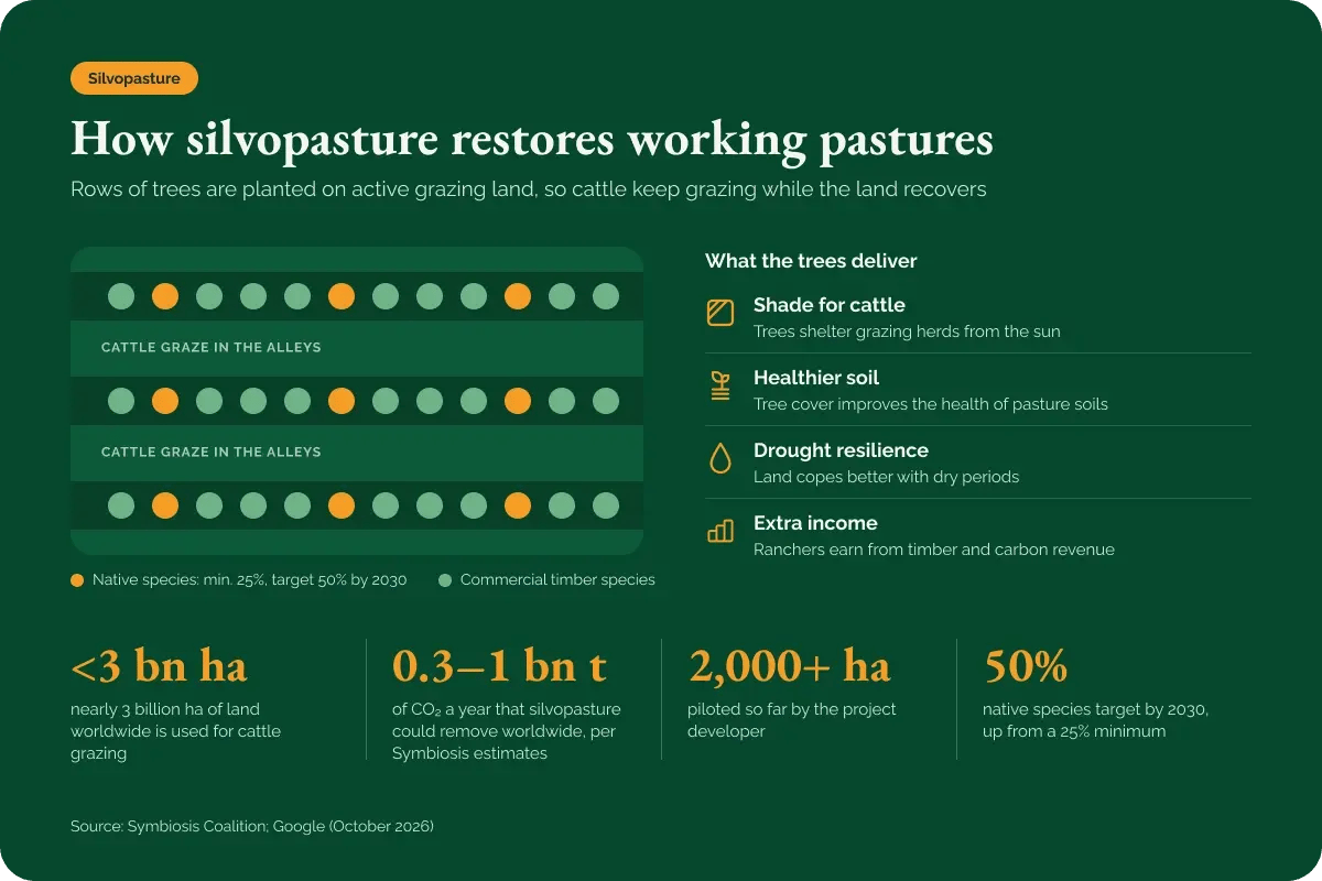 271026_Google and McKinsey buy 320,000 tonnes of Brazil removals_visual 2
