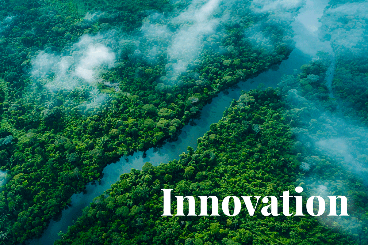 290424_Treeferas-AI-innovation-attracts-$12M-for-carbon-offset-clarity_newsVisual-1