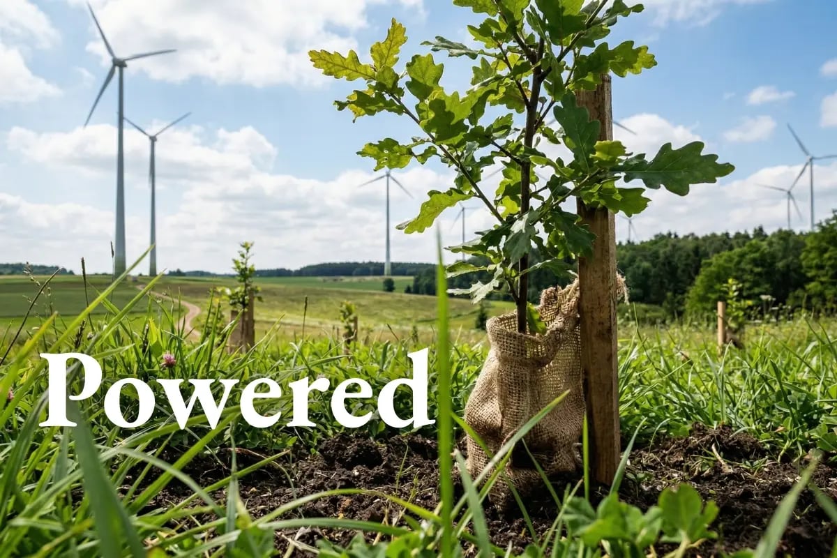 310326_Energy majors post record carbon credit retirements as nature-based solutions lead the way_visual 1