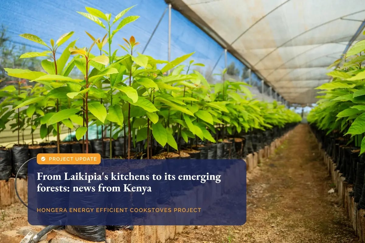 310726_From Laikipia_s kitchens to verified carbon credits_visual 1