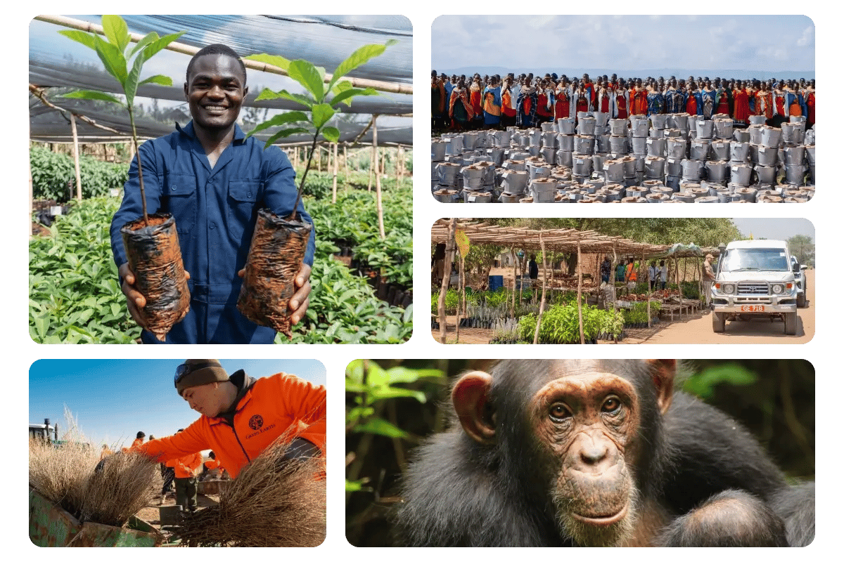 310726_We fixed the way businesses buy carbon credits_visual 4