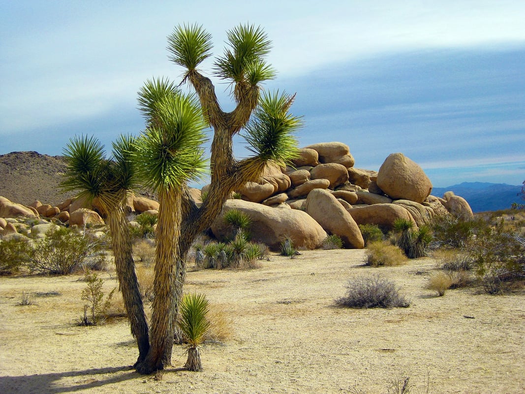 5 Types of ecosystems