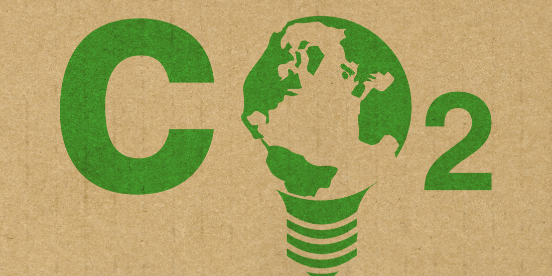 5 reasons Greenpeace is wrong about Carbon Credits