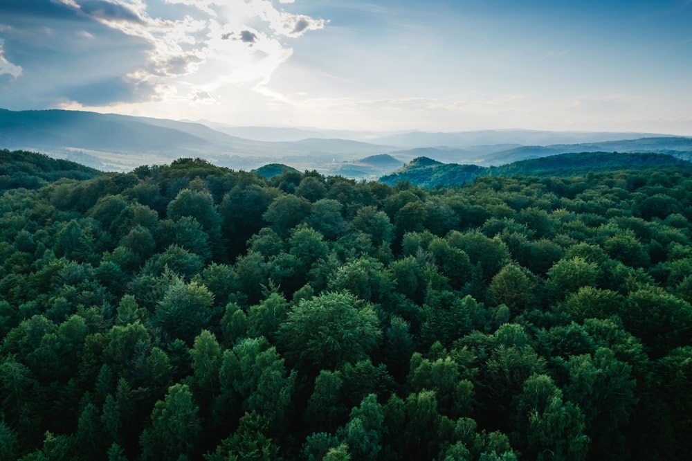 7 Answers to your questions about Verified Carbon Standard