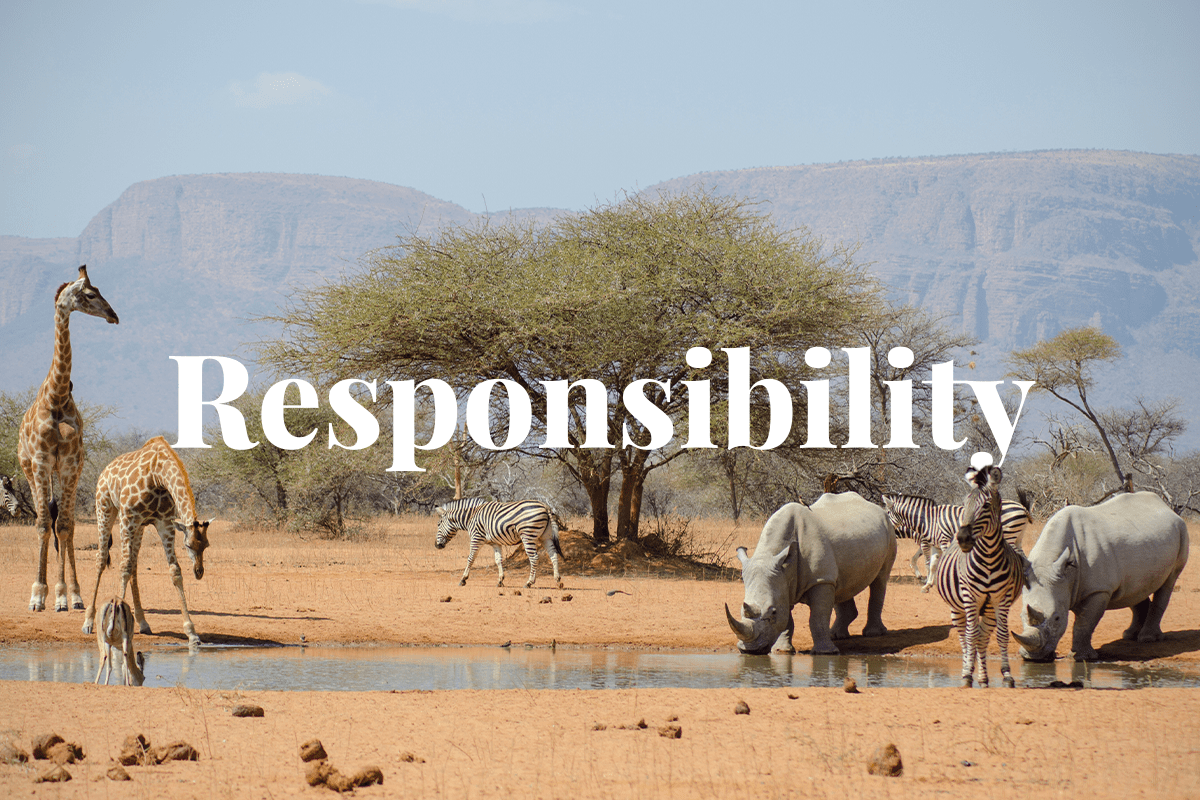 80% of key biodiversity areas have infrastructure_visual 1
