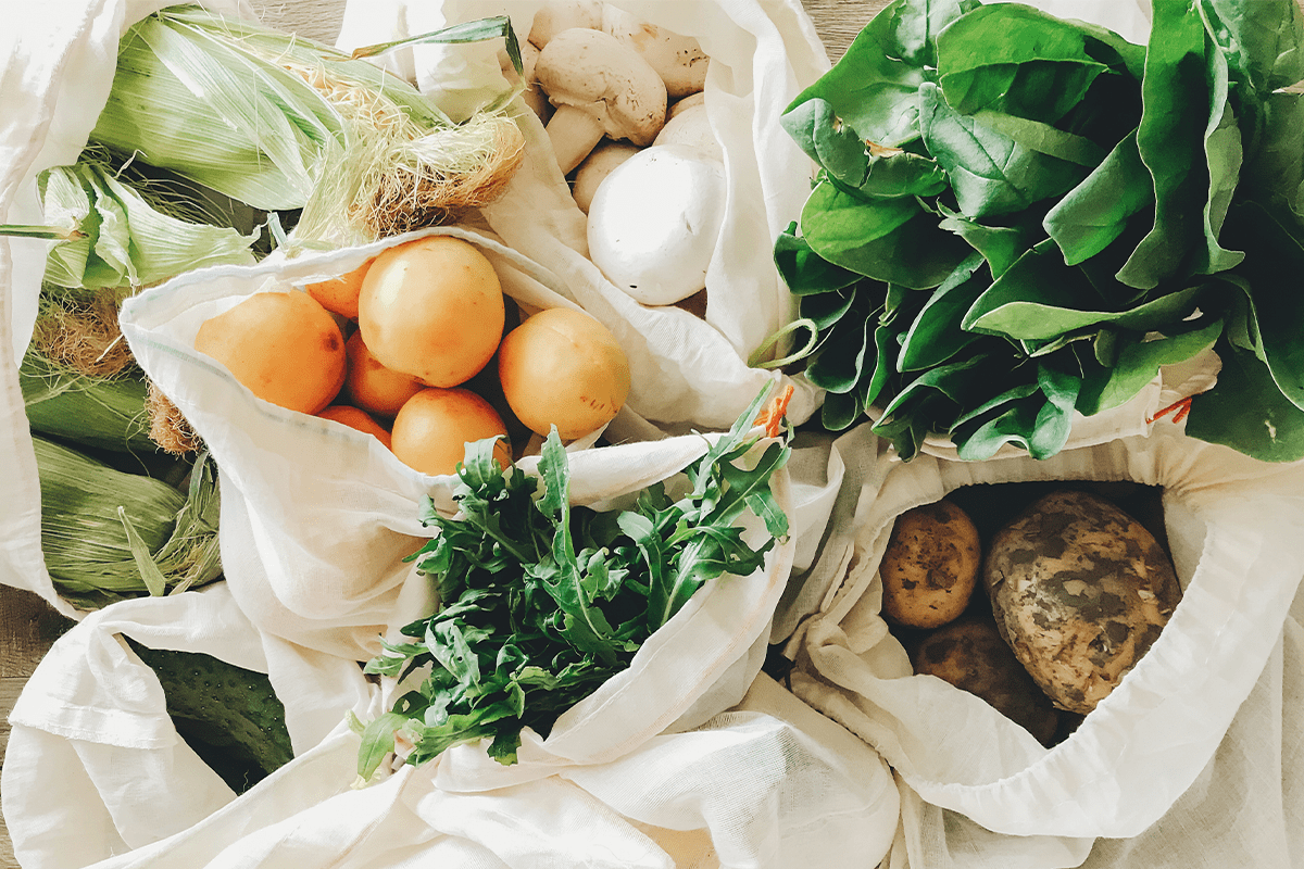 A Greener Future Through Waste Management (1)