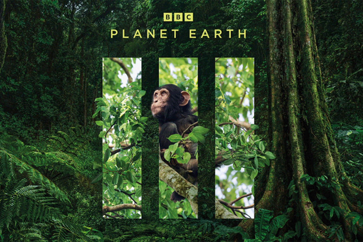 A Planet Earth III tale of the Bulindi Chimpanzee Project_Poster of the BBC documentary Planet Earth III_visual 5