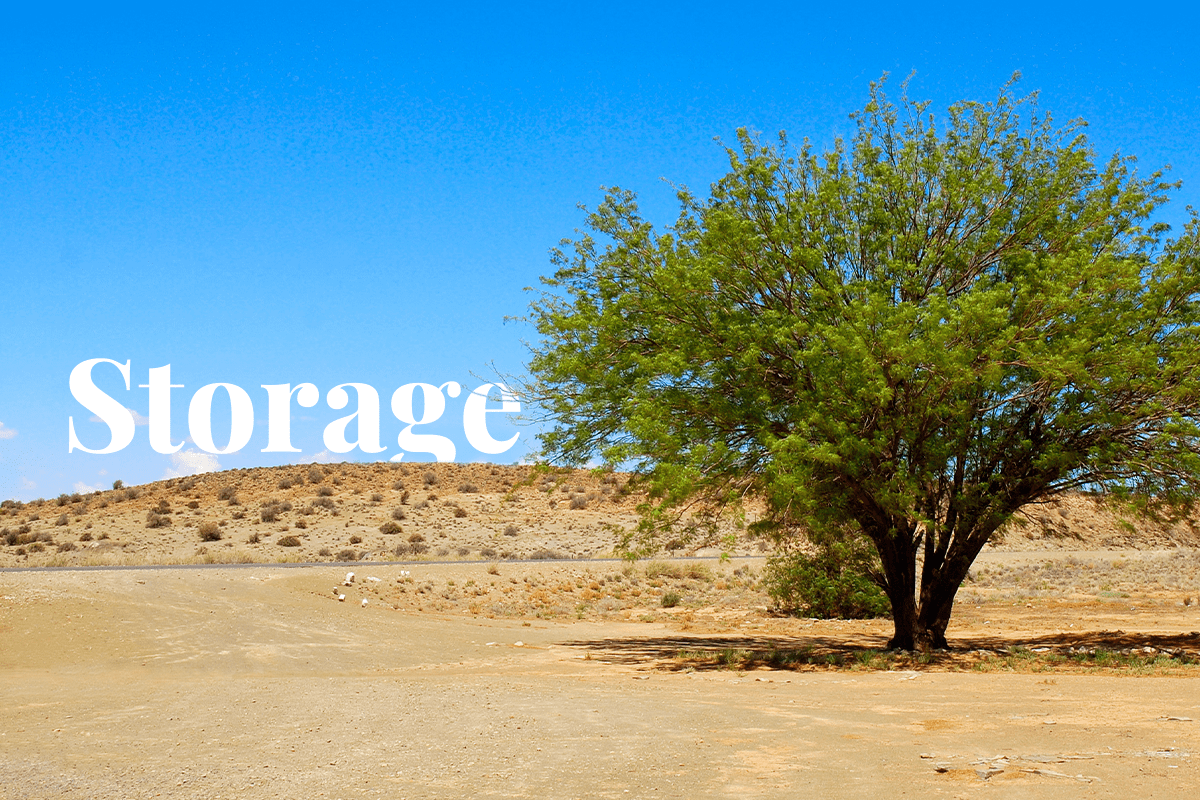 A new study estimated carbon stored in African drylands