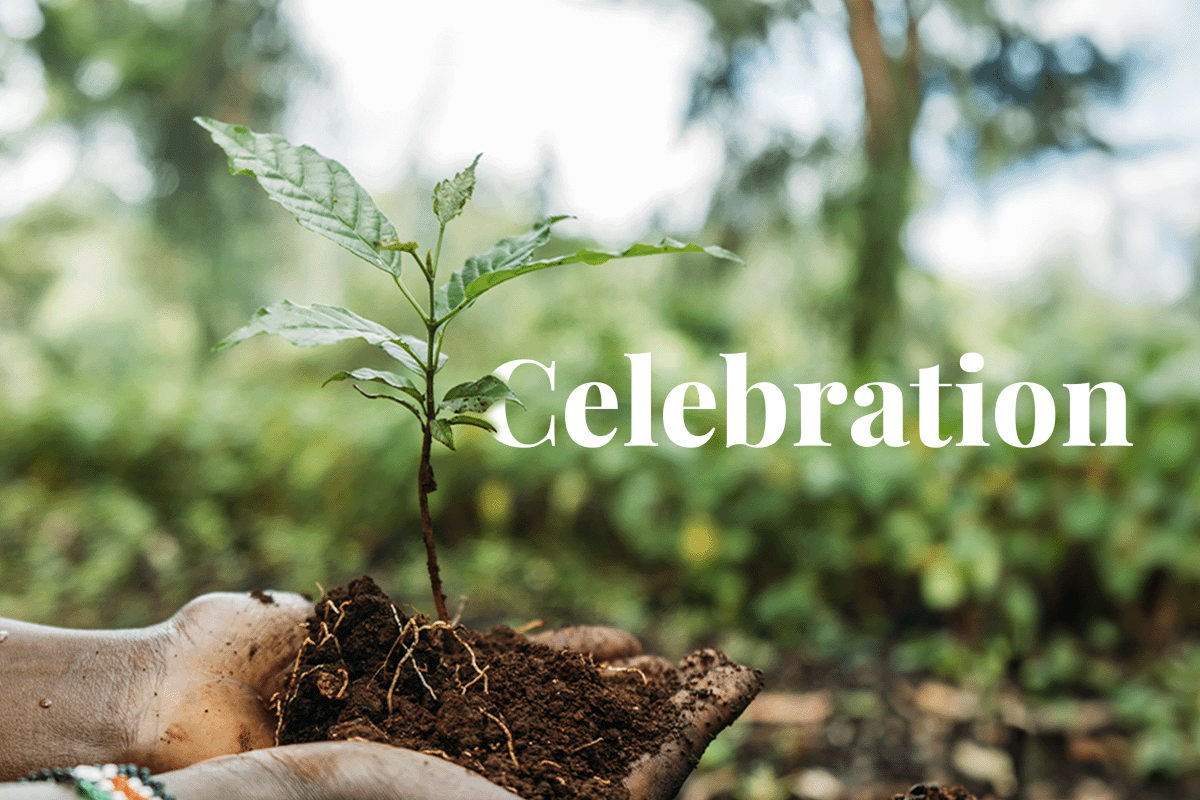 A pop-up tree-planting celebration in Kenya_Close up on hands holding tree seedling_visual 1
