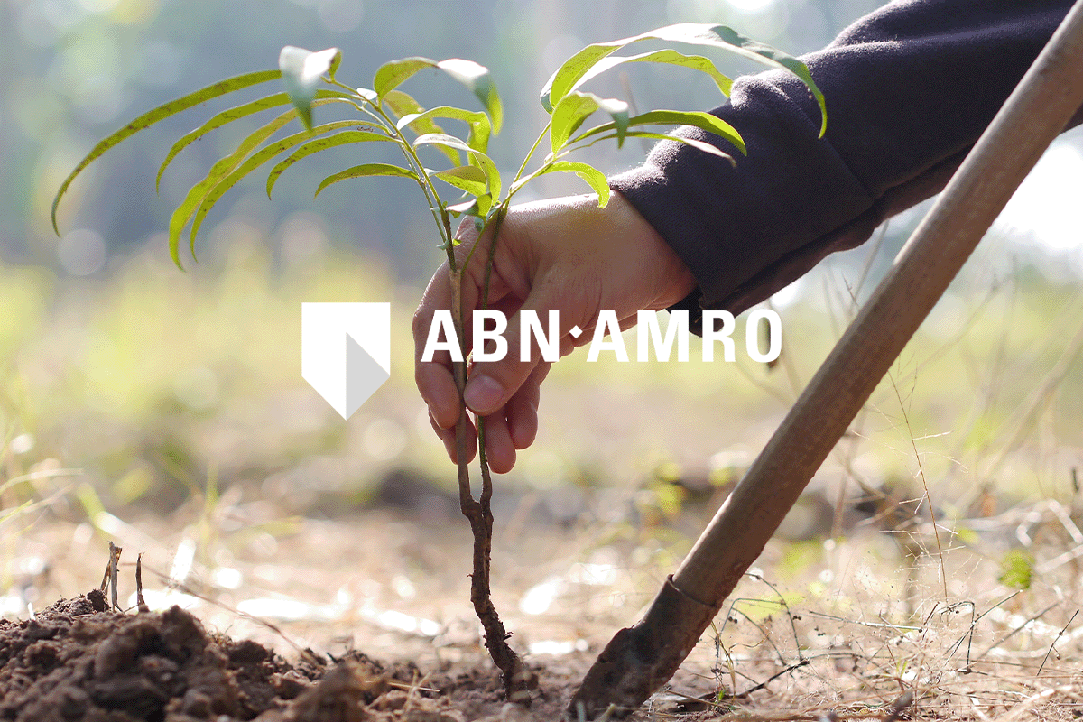 ABN AMROs employee-led reforestation_A man planting a tree_visual 1
