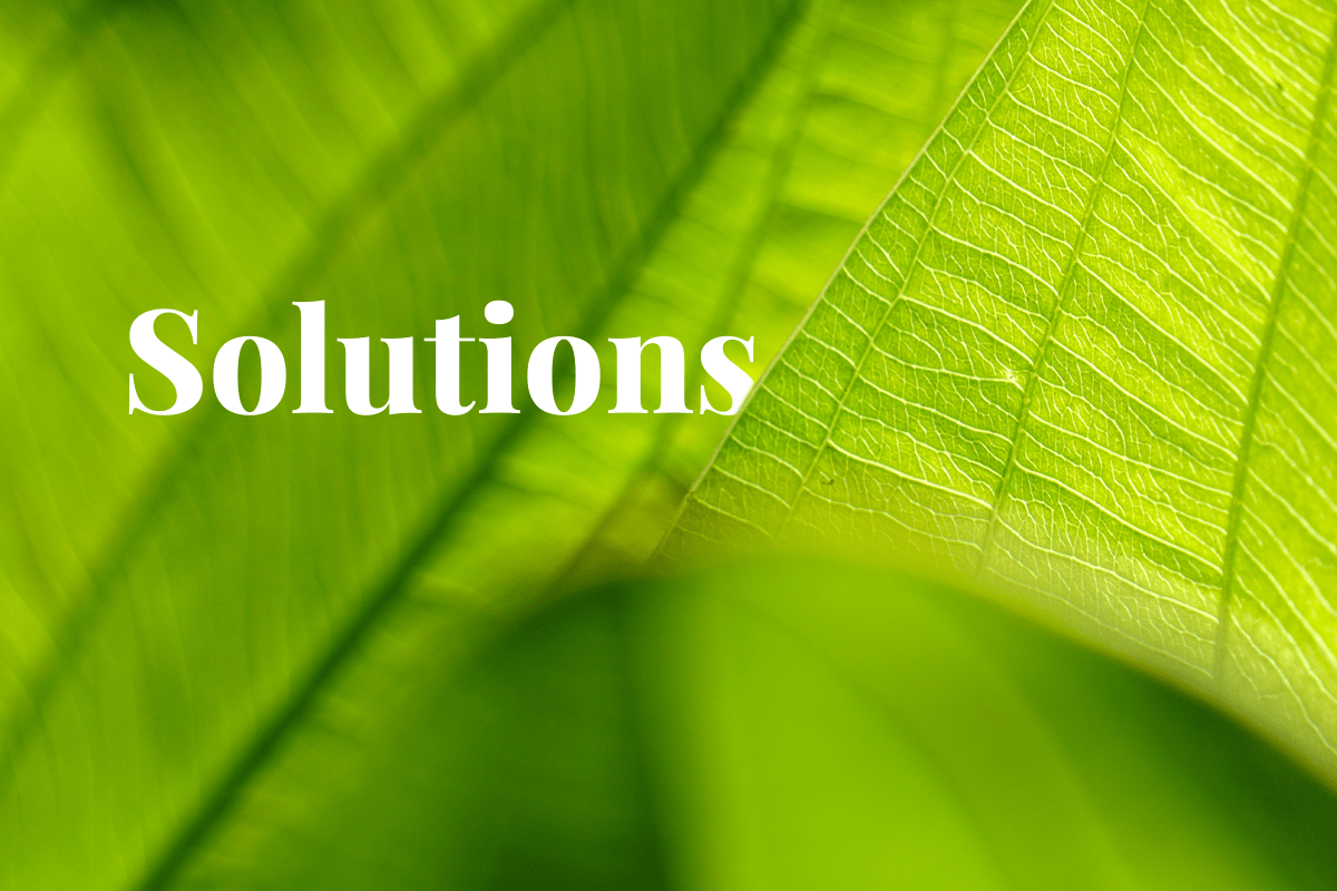 ASUS steps up its sustainability efforts_green leaves_visual 1