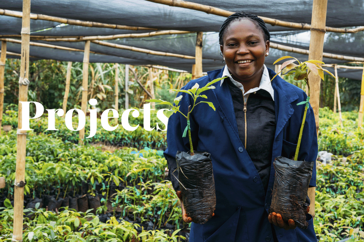 Africa’s 47 carbon afforestation and reforestation projects_an artisan working in Kenya Tree Nursery_visual 1