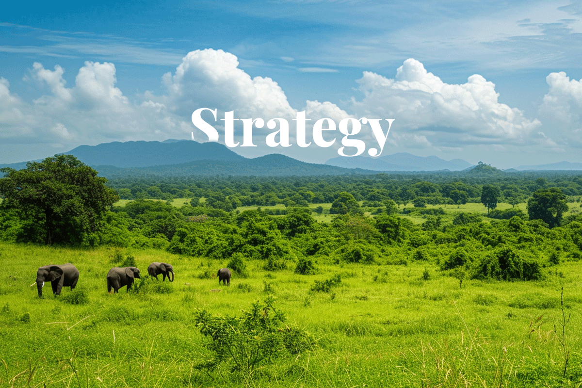 Africas billion-dollar environmental strategy_Landscape view of Ghanas nature_visual 1