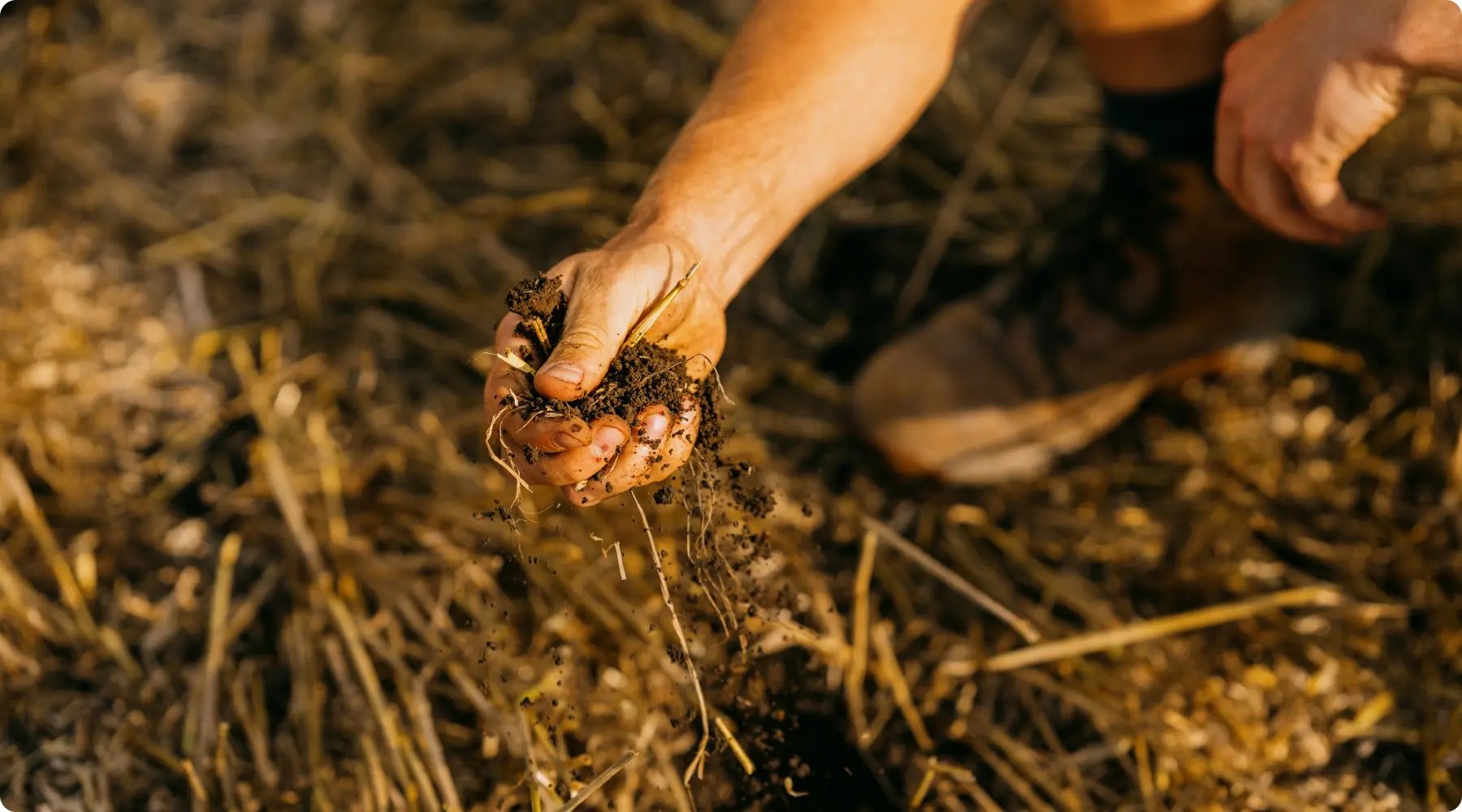 AgreenaCarbon Project (Ukraine soil)