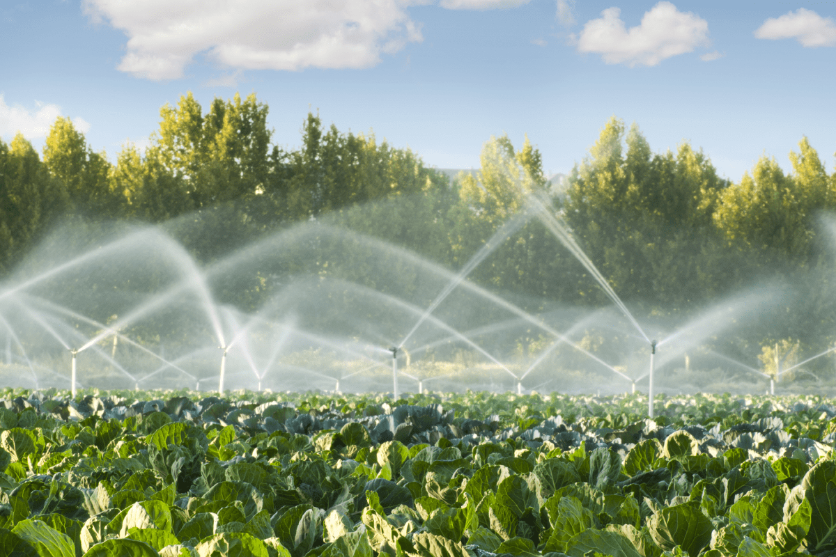 Agriculture_Irrigation systems_visual  4