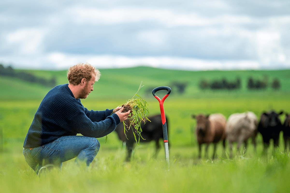 Agroecology in action_ farmer, taking soil samples_visual6.png