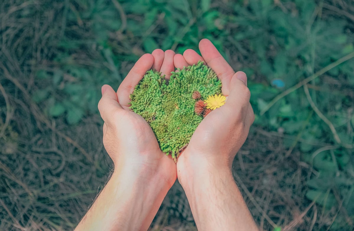 All you need to know about carbon in-setting