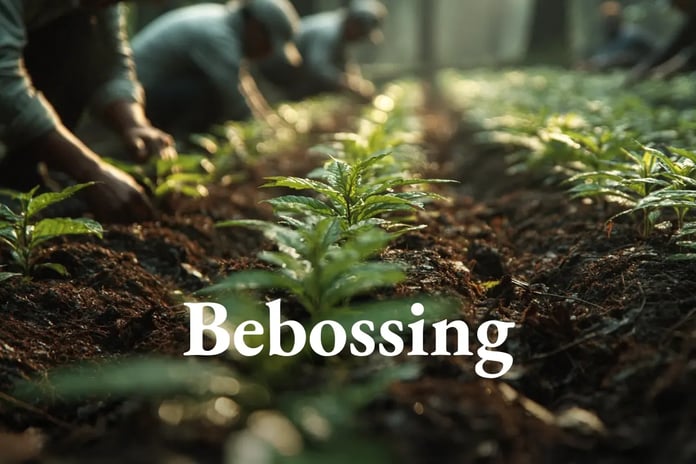 Amazon backs nature-based removals and eyes an insurance model_visual 1_EN (1)