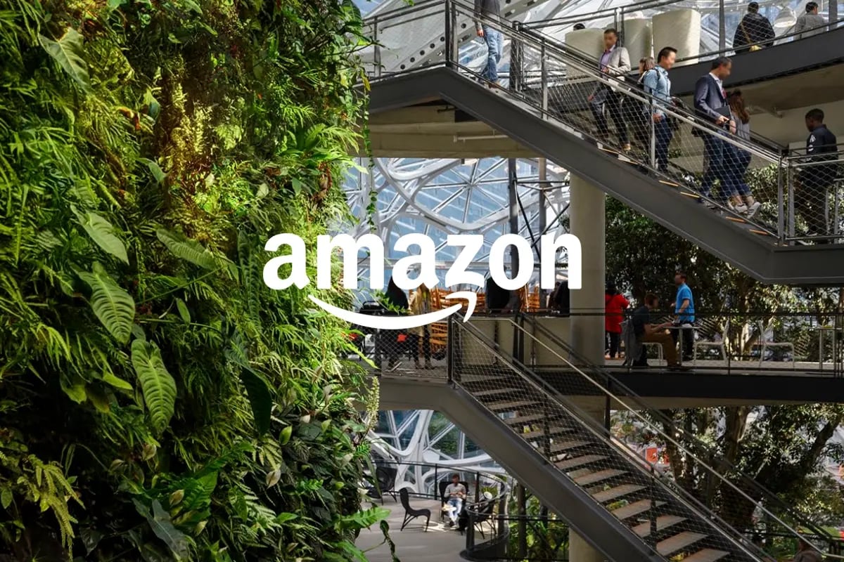 Amazon: how nature-based solutions drive net-zero carbon goals