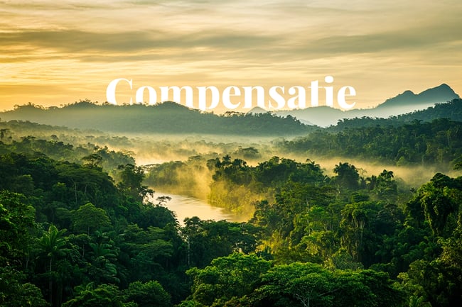 Apple retires first jurisdictional carbon credits in landmark offset move_A view of Guyana’s Amazon rainforest, featuring lush green canopies, diverse tropical flora, and a winding river through the dense jungle_NL
