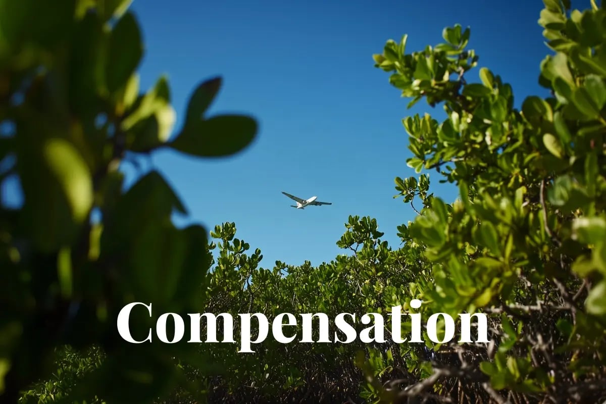 Aramco pushes offset boundaries with record carbon credit use_Close-up from below of vibrant mangroves, featuring a cargo plane flying in the background_visual 1