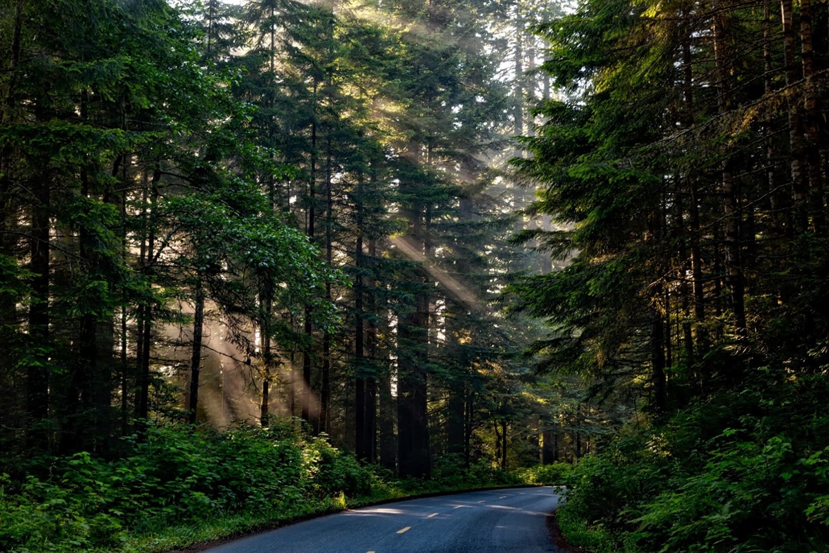 7 insights from assets owners on the rise of sustainable investing