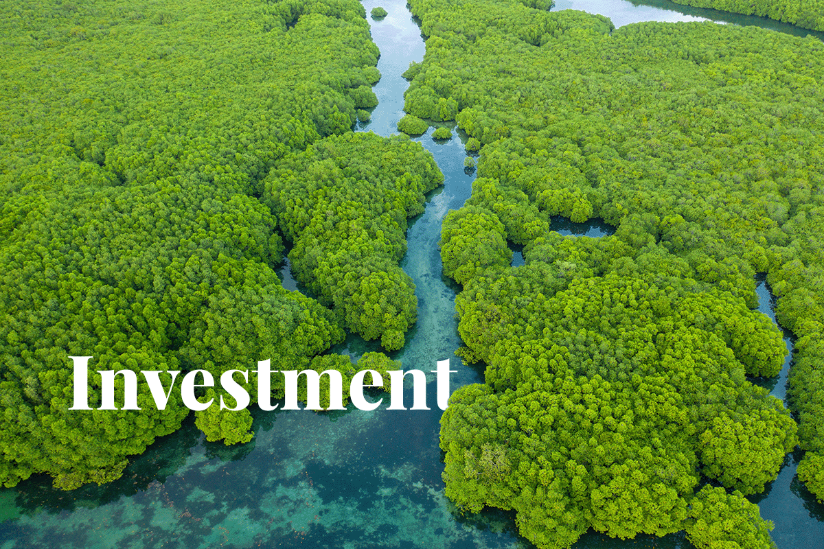 AstraZeneca’s massive investment in restoration_forest by Negro River in Brazil_visual 1