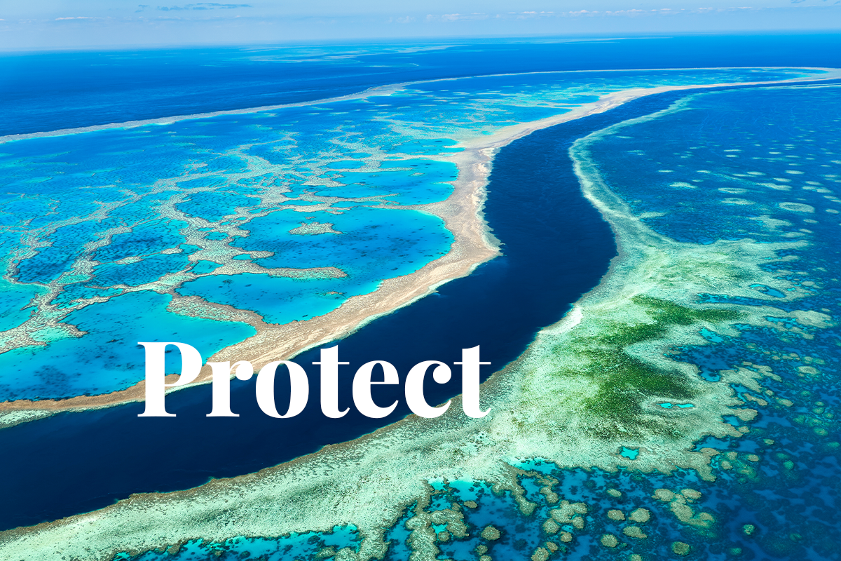 Australia blocks new coal mine to protect Great Barrier Reef