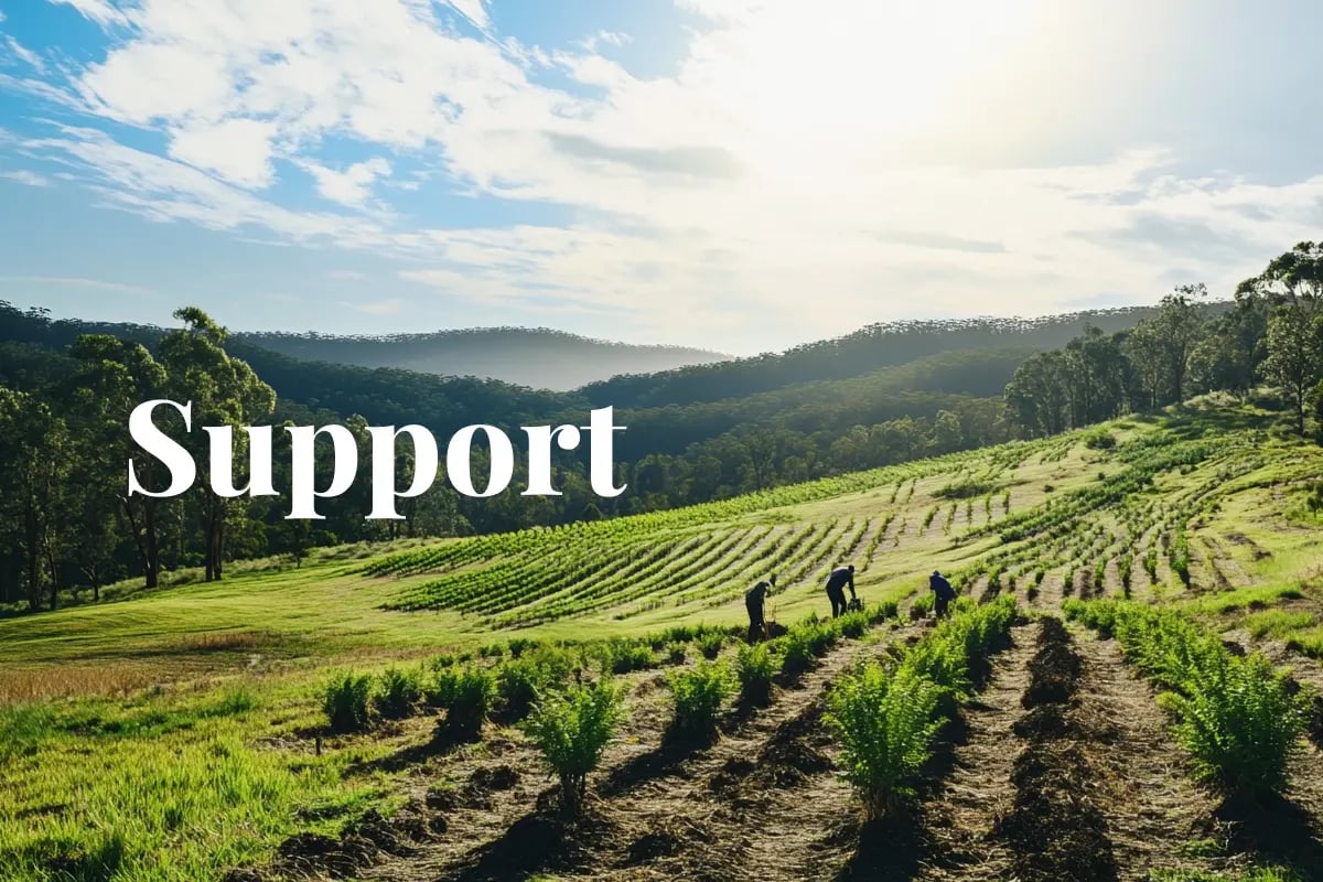 Australia launches grants to boost carbon forestry and native planting projects_Forestry and farming project as a part of Victoria’s Trees on Farms initiative_visual 1