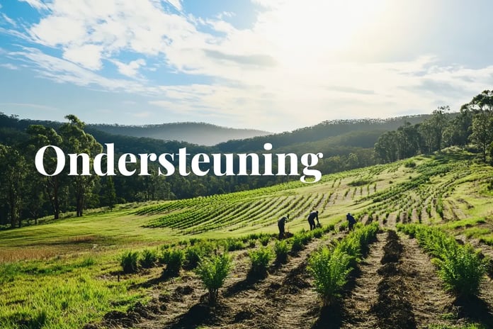 Australia launches grants to boost carbon forestry and native planting projects_Forestry and farming project as a part of Victoria’s Trees on Farms initiative_visual 1_NL