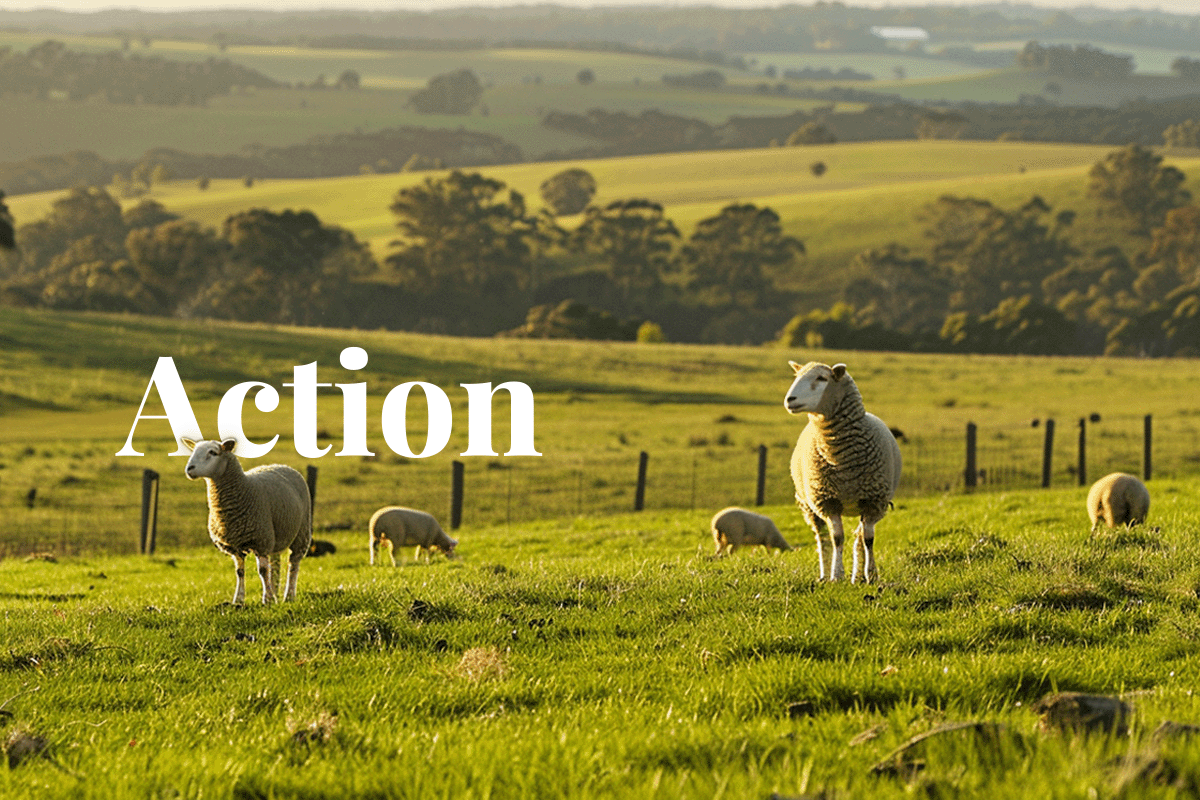 Australian farmers called to action on carbon emissions_Agriculture landscape of Winchelsea_visual 1