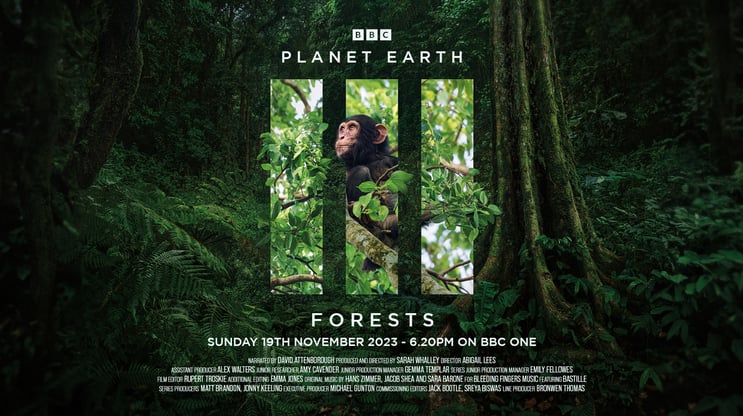 BBC Forests Episode - 19.11.23