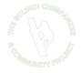 BCCP LOGO WHITE