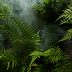 shutterstock_2134325271 1