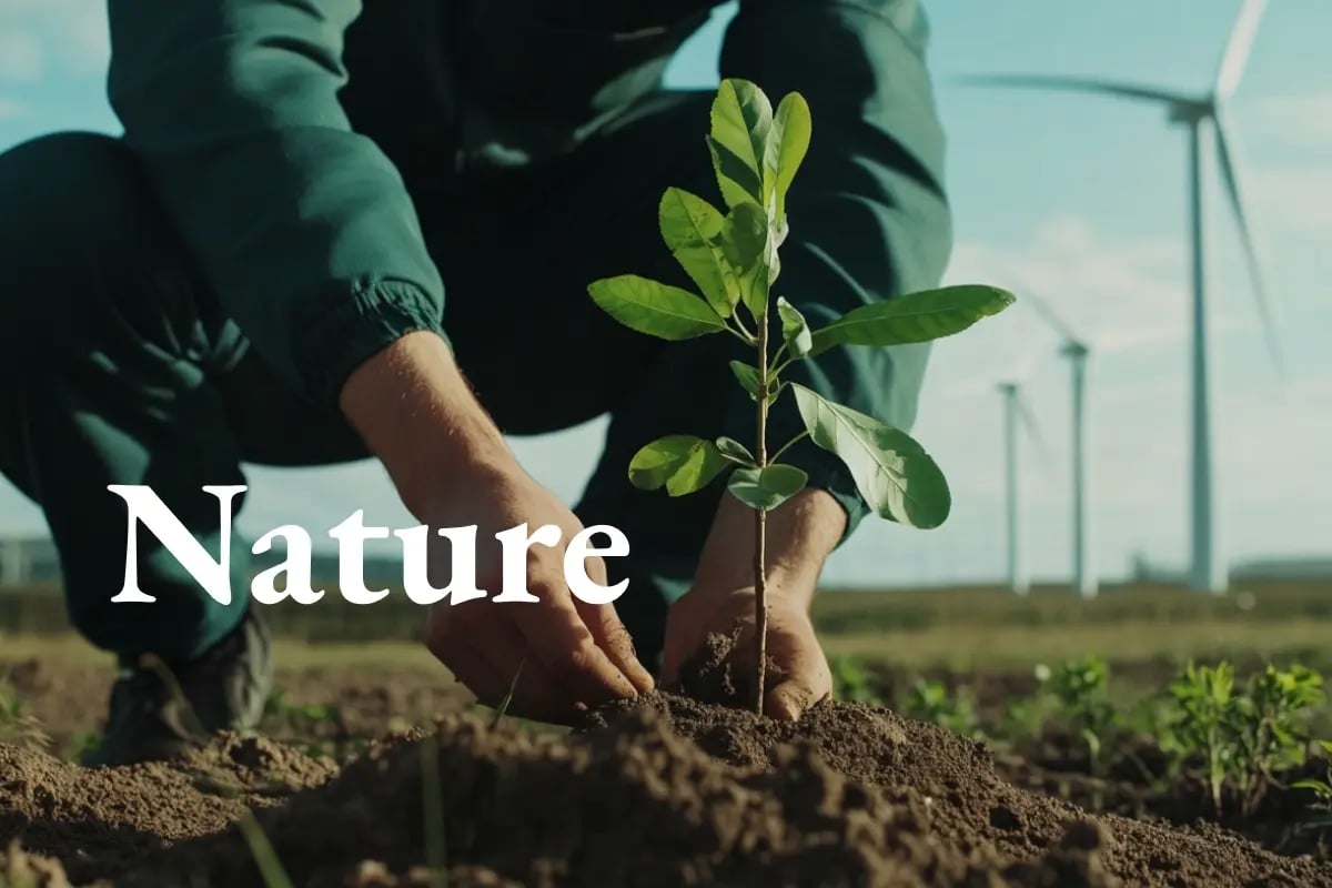 Balancing portfolios_ Nature-based vs renewable carbon credits_visual 1