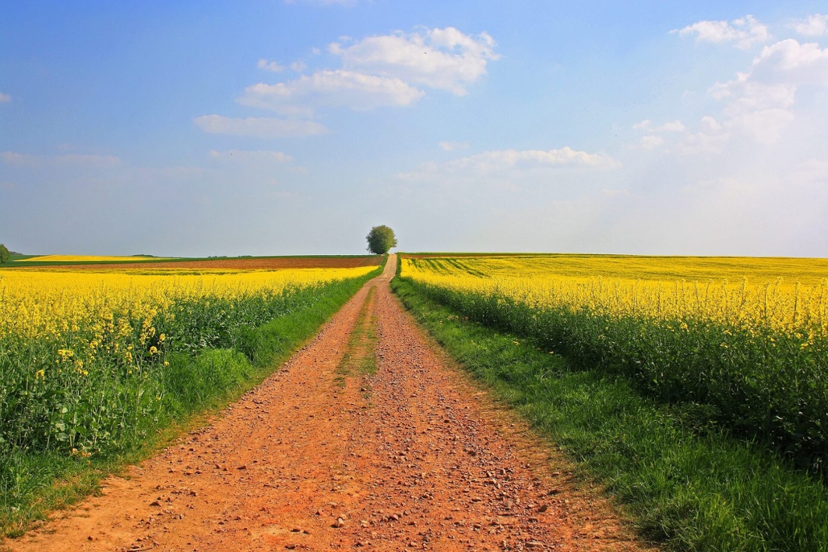 BeZero carbon raises $50M 3-1